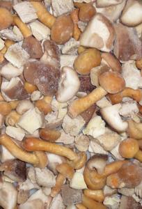 Zmes hubová 1kg - fuudi gastro