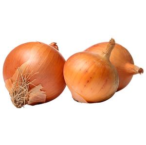 Cibuľa žltá 50/70 /VÁHA PL - fuudi gastro