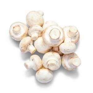 Šampiňóny biele /VÁHA CZ - fuudi gastro