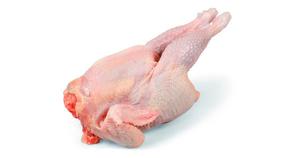 Kohút celý / VÁHA cca 11kg / CZ - fuudi gastro