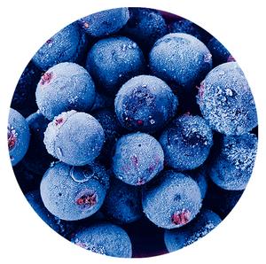 Čučoriedky lesné 2,5kg Frigoexim - fuudi gastro