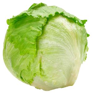 Šalát ľadový I.trieda ES - fuudi gastro