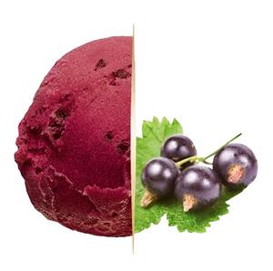 Zmrzlina Gastro Carte d´Or Sorbet Čierna Ríbezľa 2,4l Algida Vegan - fuudi gastro