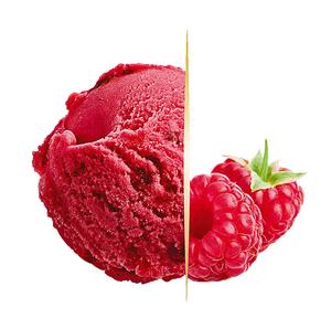 Zmrzlina Gastro Carte d´Or Sorbet Malina 2,4l Algida Vegan - fuudi gastro