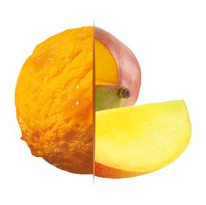 Zmrzlina Gastro Carte d´Or Sorbet Mango 5,5l Algida - fuudi gastro
