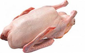 MR Kačica bez drobkov 2,4kg / 5x2,4kg / - fuudi gastro