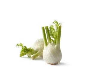 Fenikel /VÁHA / IT - fuudi gastro